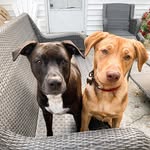 Frazier + Nelson Reeves - @frazier.and.nelson - Instagram