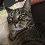 C. Nelson Reilly - @c.nelson_reilly - Instagram