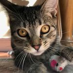 Oscar Nelson Reilly - @oscarnelsonreilly - Instagram