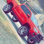 Nelson - @nelson.riley17 - Instagram