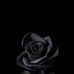 Nelson Rock - Facebook