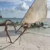 rollinsnelson - @rollinsnelson - TikTok