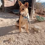 Nelson Roque - Facebook