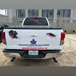 Nelson Royal - @royalpestcontrolserviceltd - Instagram