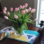 Jayne Nelson Rutledge - @jaynequilter - Instagram