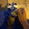 nelsonsalas23 - @nelsonsalas0337 - TikTok