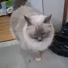 Nelson Sandoval - @nelson.sandoval312 - TikTok
