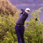 Nelson sargent - @sargent_golf - Instagram
