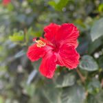 Nelson Sauer - @nelson_in_christ - Instagram