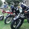 nelsonschmidt416 - @nelsonschmidt416 - TikTok