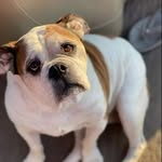 Tracy Lynn Nelson-Schroeder - @tracy.nelsonschroeder - Instagram
