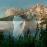 Stacy Nelson Schultz - @stacyschultz45 - Instagram