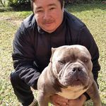 Nelson Segovia - @nelson.segovia.7547031 - Instagram