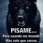 Nelson Sergio Segovia - @nelsonsergiosegovia - Instagram