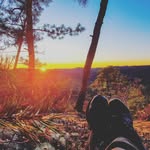 Nelson Shaffer - @nelson_shaffer - Instagram