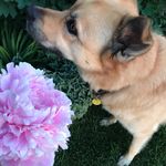 Tracie Nelson-Short - @tnel11 - Instagram
