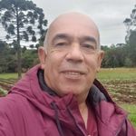 Nelson Silveira - @nelson.silveira.92372 - Instagram