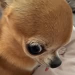 sinclair nelson - @nelsonsinclair - Instagram