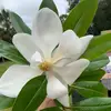 neilsinenelson - @neilsinenelson - TikTok