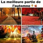 Nelson Sirin - @nelsonsirin - Instagram
