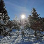 Nelson Sirois - Facebook