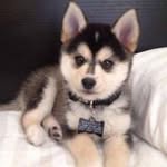Nelson Sison - @sisonnelsonjr - Instagram