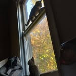 Nelson Slater - @nelsonslater6 - Instagram