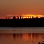 Nelson Snook - @nelson_snook - Instagram