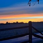 Nelson Snyder - @nelson.snyder.773 - Instagram