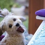 Nelson Snyder - @nelson_snyder - Instagram