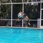Nelson Sorto - @elsorto - Instagram