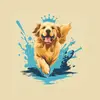 Nelsons Stor - @nelsonsstor - TikTok