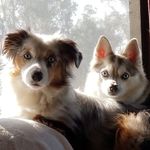 Lori Nelson Squires - @sykotk13 - Instagram