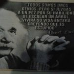 Nelson Stanford Alarcon - @nelsonfranklinstanford - Instagram