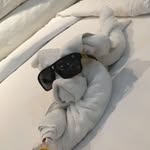 Nelson🐒 - @nelson.sterner - Instagram