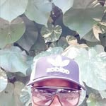 Nelson Stevenson Berrios - @nelson_stevenson - Instagram