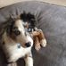 Nelson Streeter - Facebook