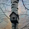 Nelson Taylor - @nelson.taylor64 - TikTok