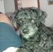 Nelson Vinagre - Facebook