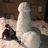 Pen Island - @nelson.wade - TikTok