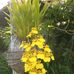 Nelson Walker - Facebook