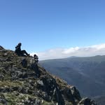 Nelson - @nelson_wallis - Instagram