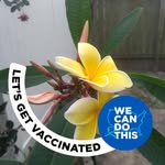 Nelson Wall - @827wall - Instagram