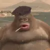 Oof - @nelsonwalter666 - TikTok
