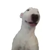 walter - @nelson.walter - TikTok