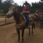 Warren Nelson - @warren.nelson.10 - Instagram
