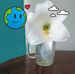 Nelson Weber - Facebook