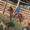 Nelson Weber - @nelson.weber7 - TikTok