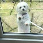 Nelson wei - @nelson_wei550 - Instagram
