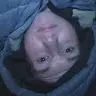 Nelson Wells - @stay_you100 - TikTok